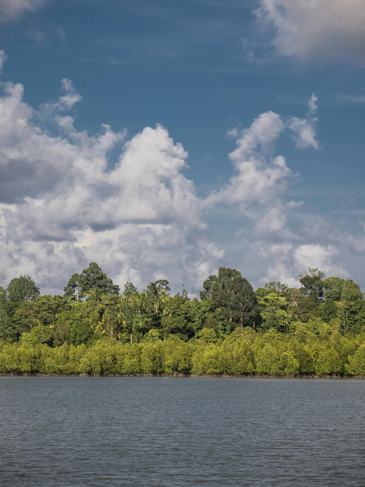 Serene Andaman 3 NIGHTS 4 DAYS - Image 3