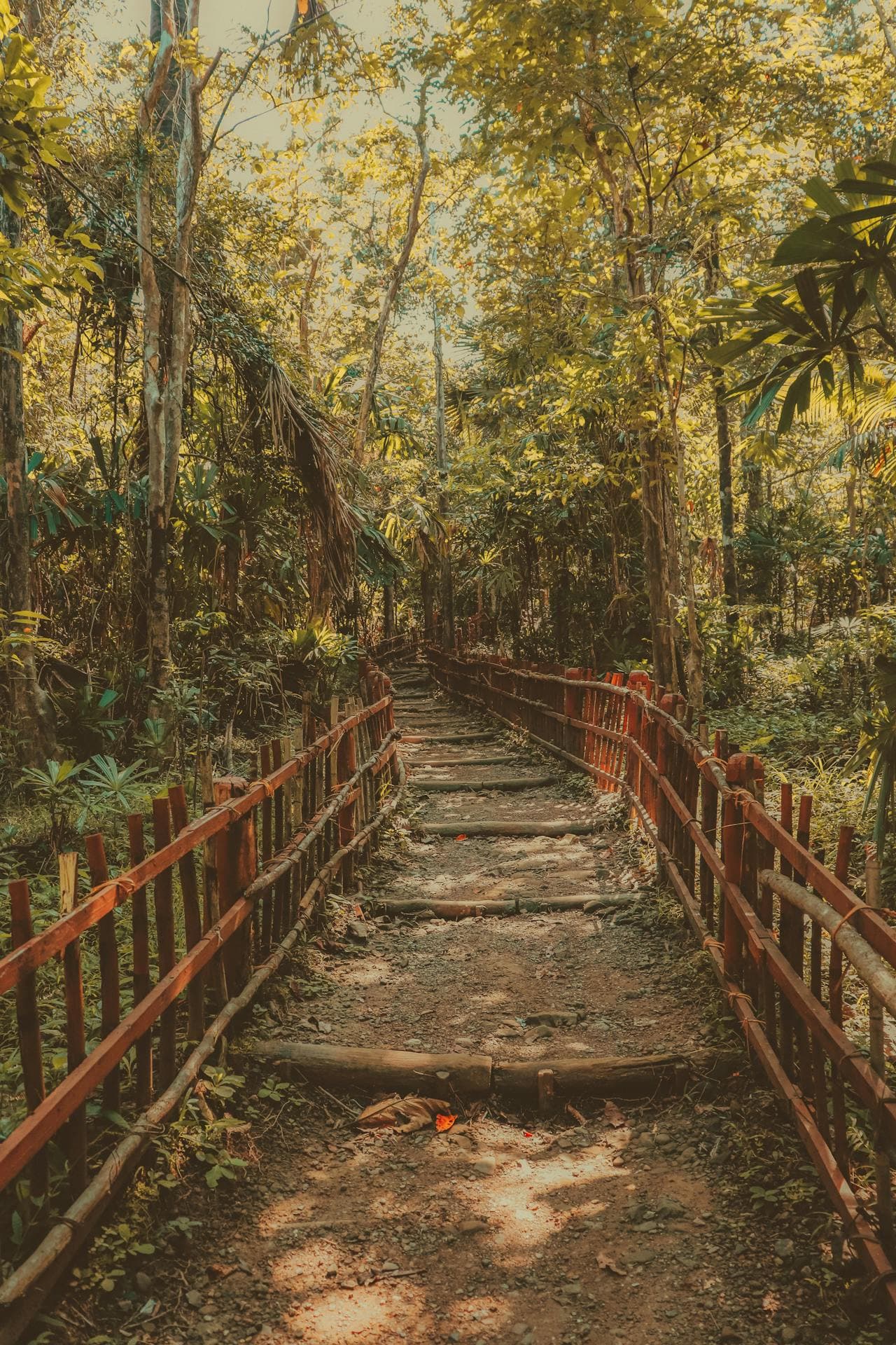 Beauty of Andaman 5 NIGHTS 6 DAYS - Image 2