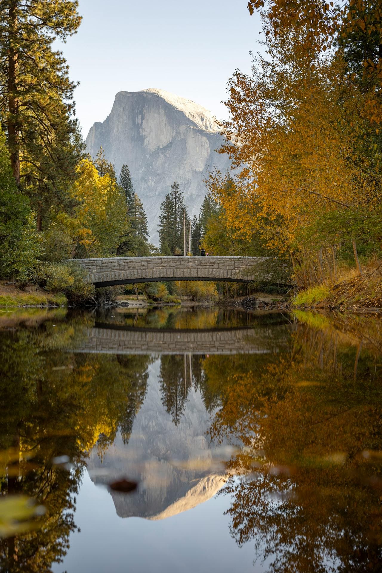 Splendid Andaman 3 NIGHTS 4 days - Image 5