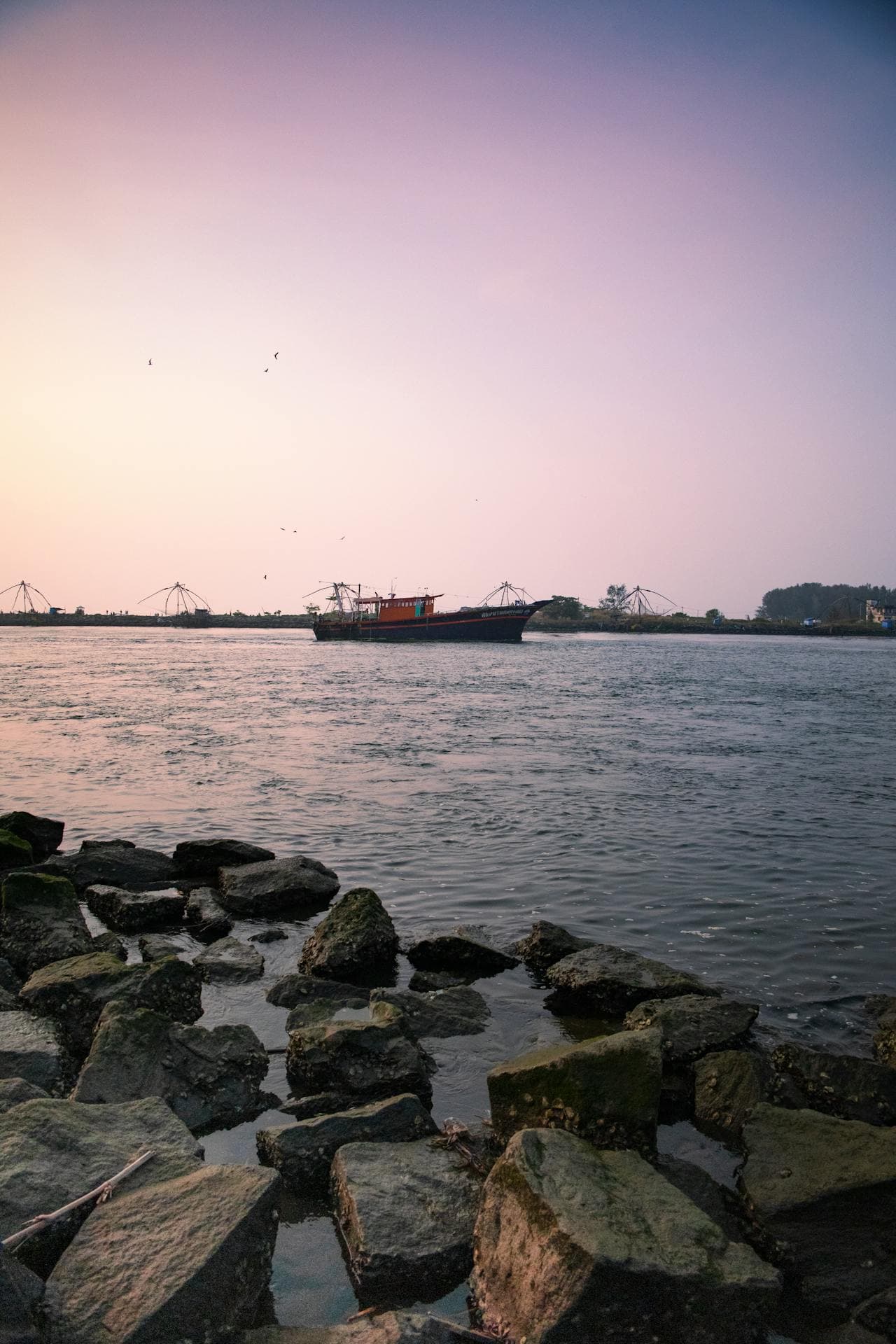 Charming tour of Kerala 6 days 5 nights - Image 2