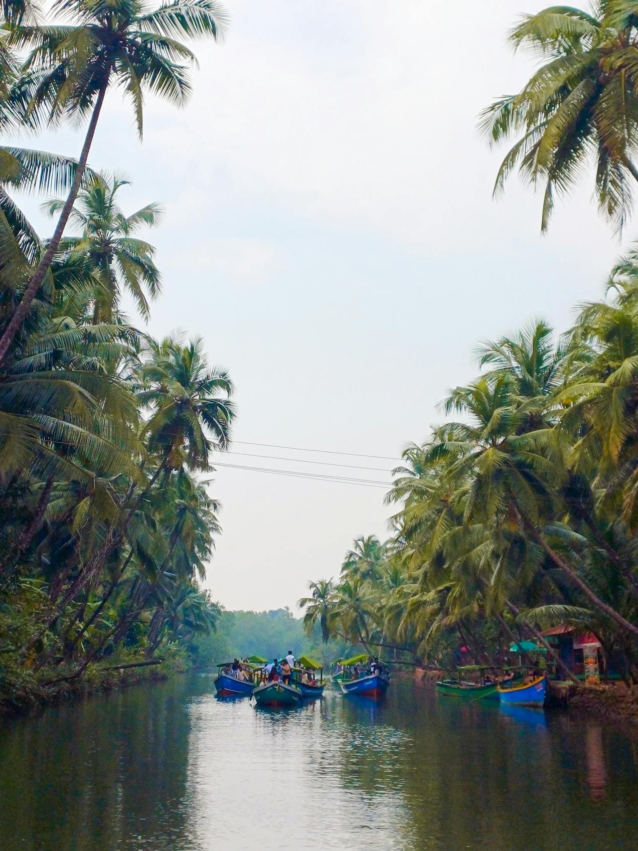 Charming tour of Kerala 6 days 5 nights - Image 5