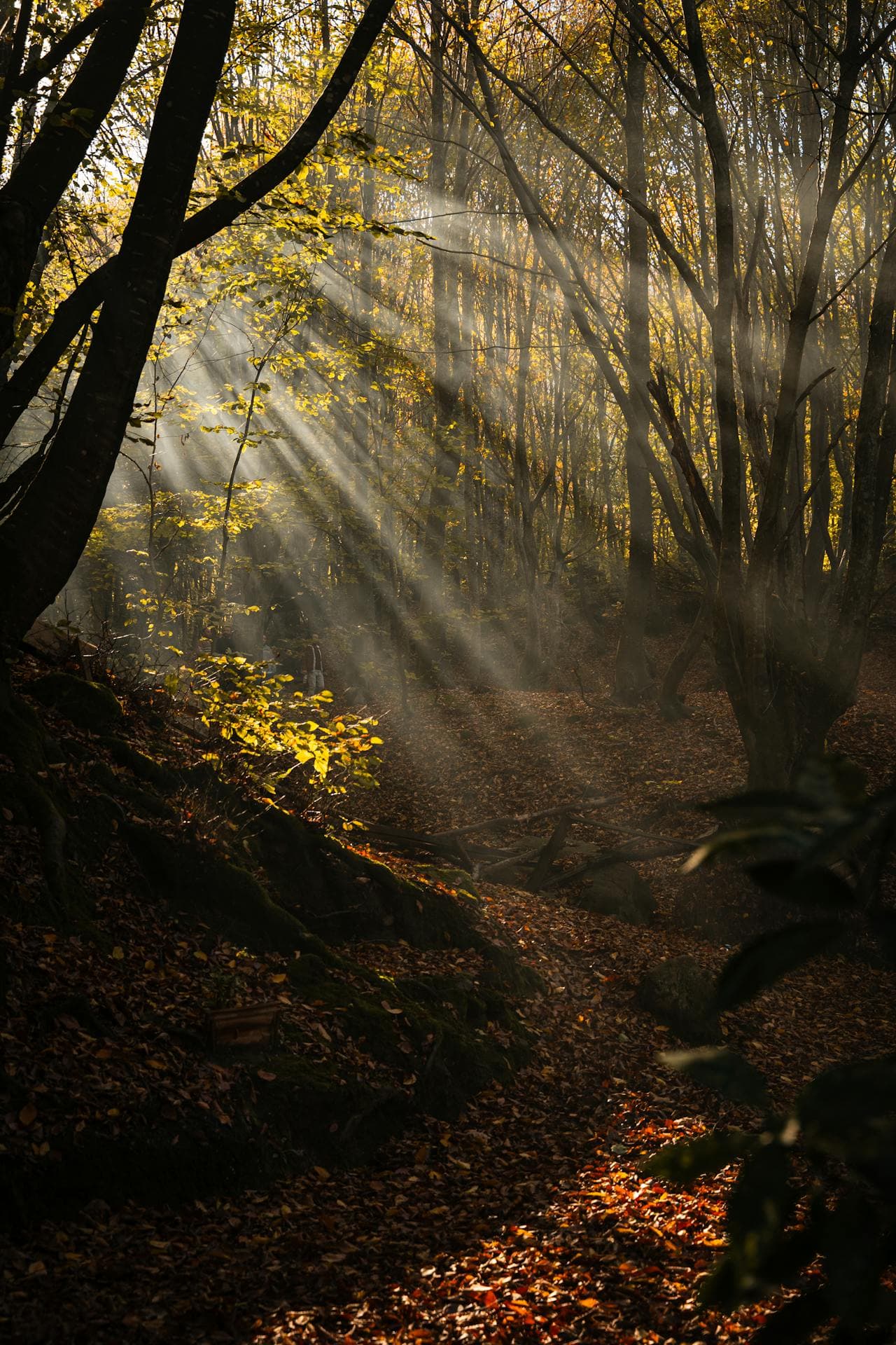 Enchanting Bhutan 8 days 7 nights - Image 2