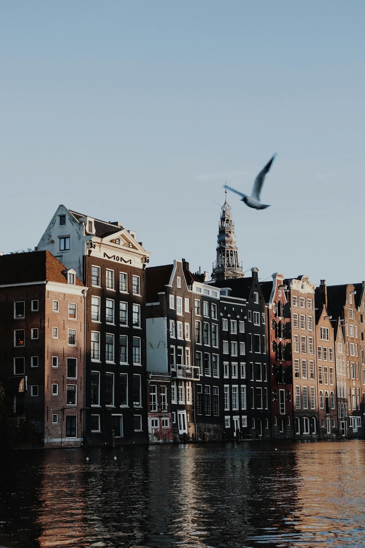 Explore  Bhutan 9 days 8 nights - Image 3