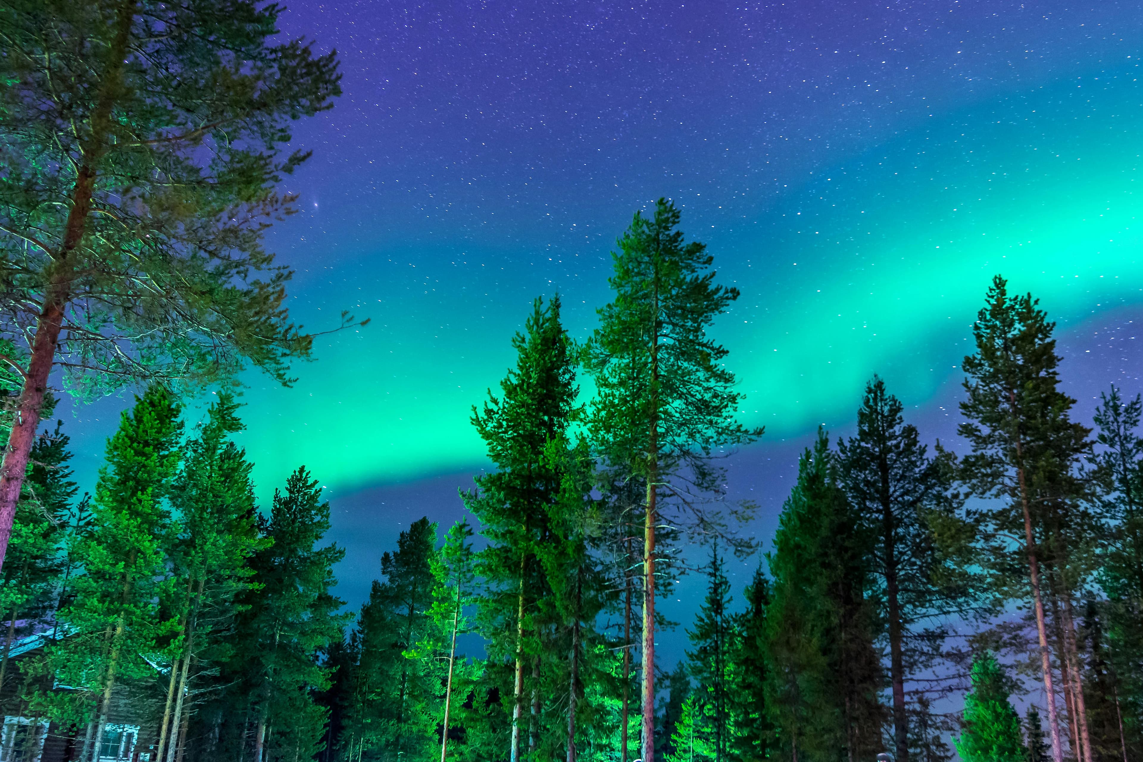 Finland Holiday Package 10 DAYS 9 NIGHTS - Image 2