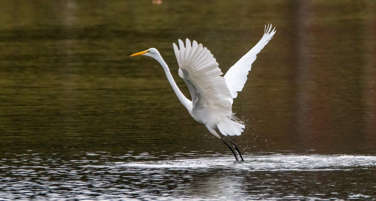Kenya Adventure 6 NIGHT 7 DAYS - Image 2