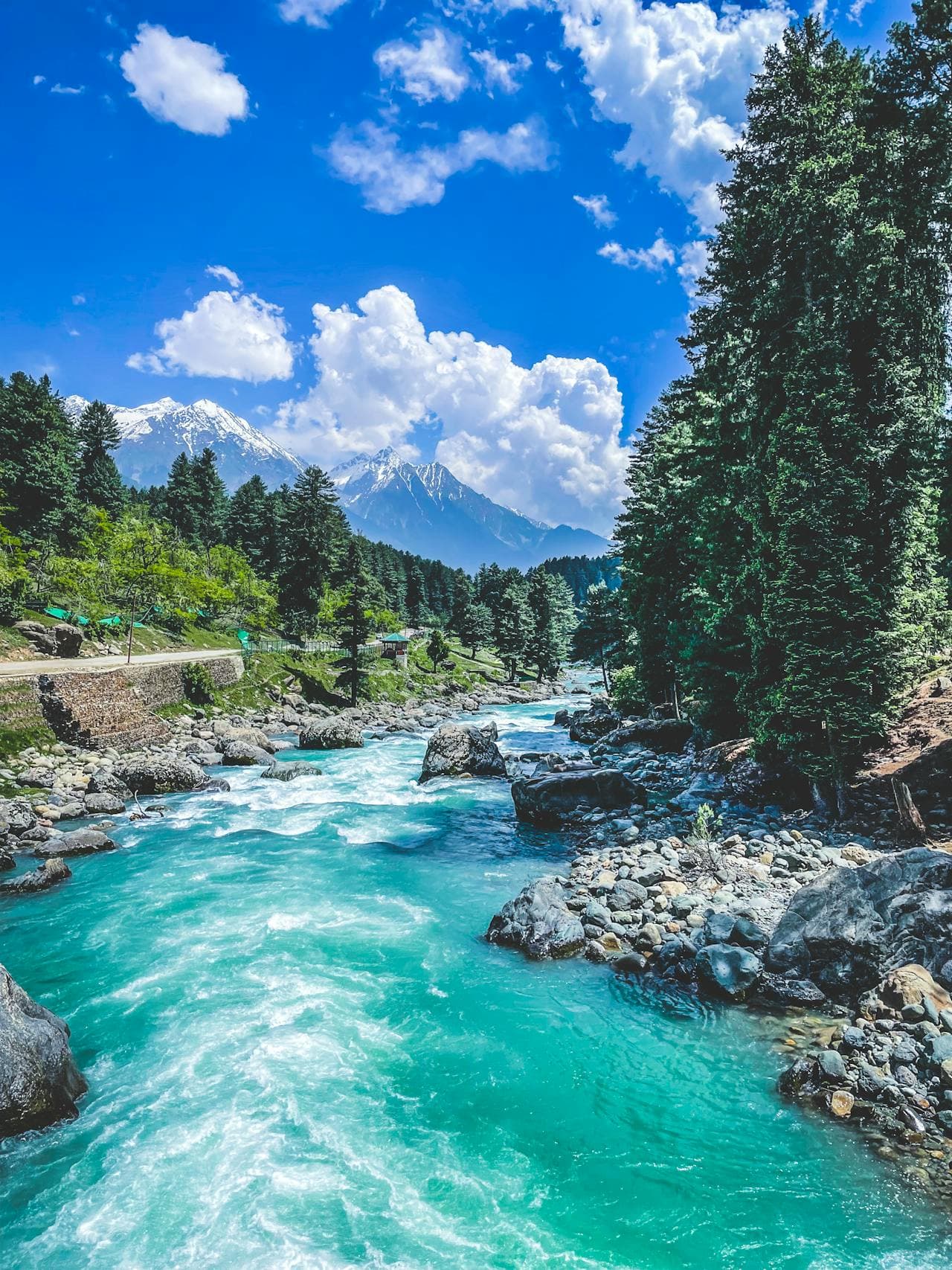 Kashmir Special 4 NIGHTS 5 DAYS - Image 5