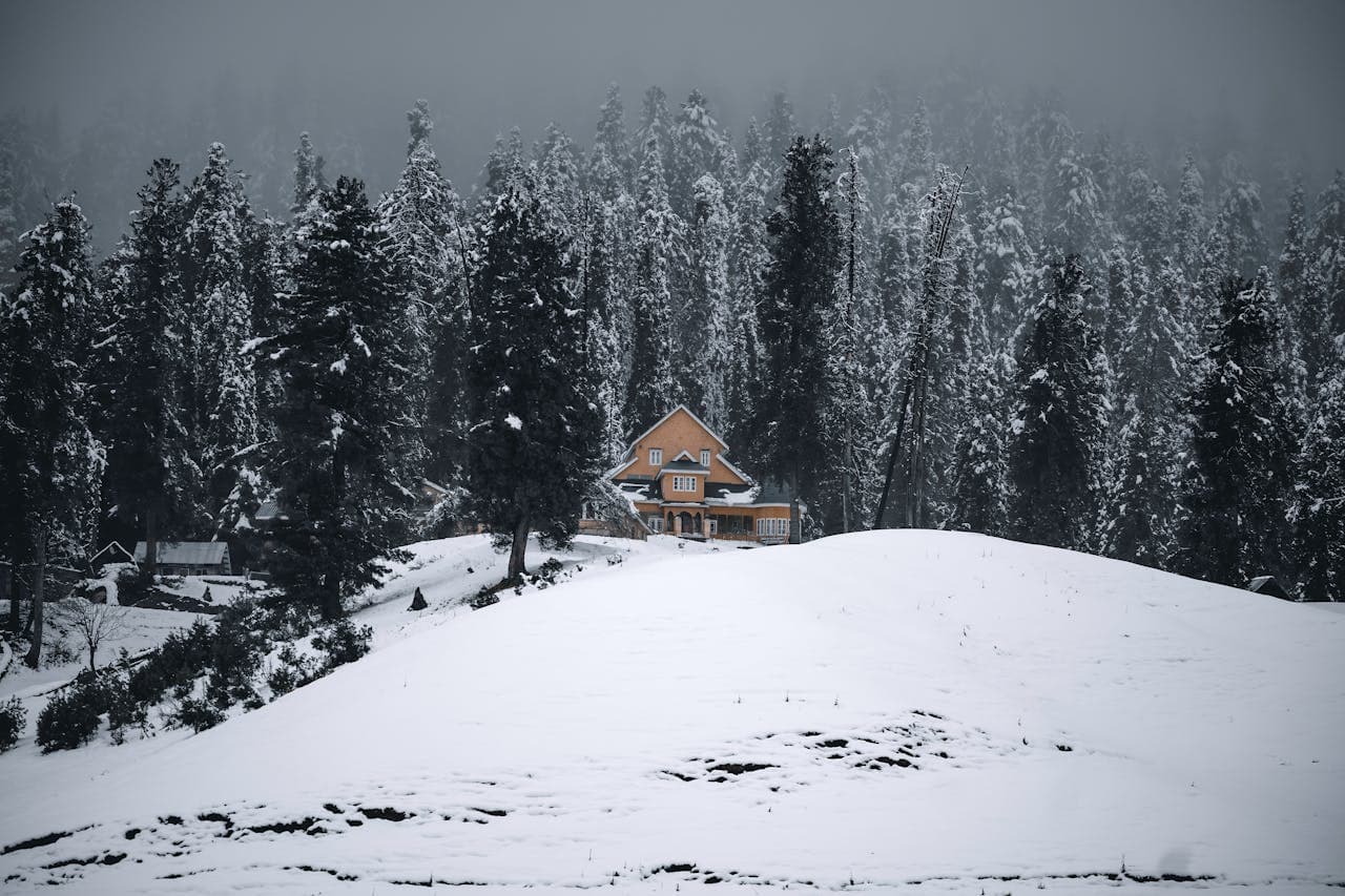 Scenic of Kashmir 6 NIGHTS 7 DAYS - Image 2