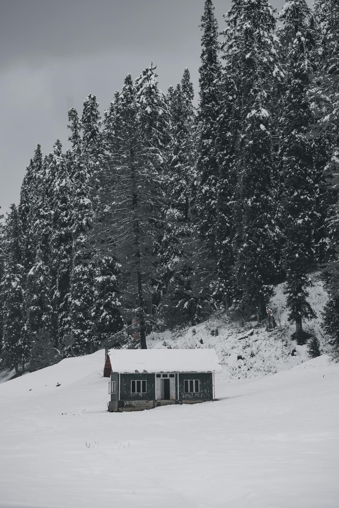 Scenic of Kashmir 6 NIGHTS 7 DAYS - Image 3