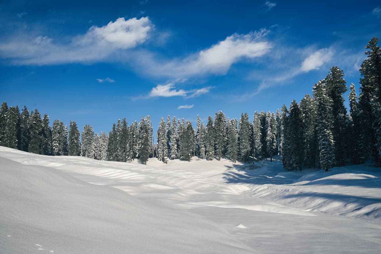 Marvelous Kashmir 5 NIGHTS 6 DAYS - Image 4