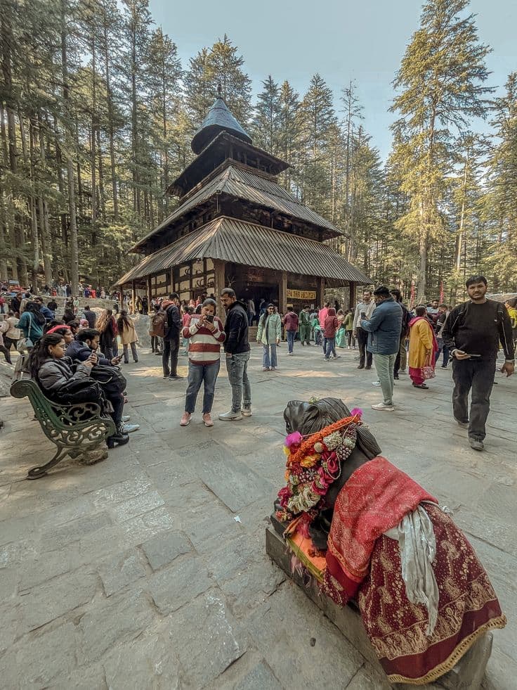 MANALI TOUR PACKAGE 4 NIGHT 5 DAYS - Image 4