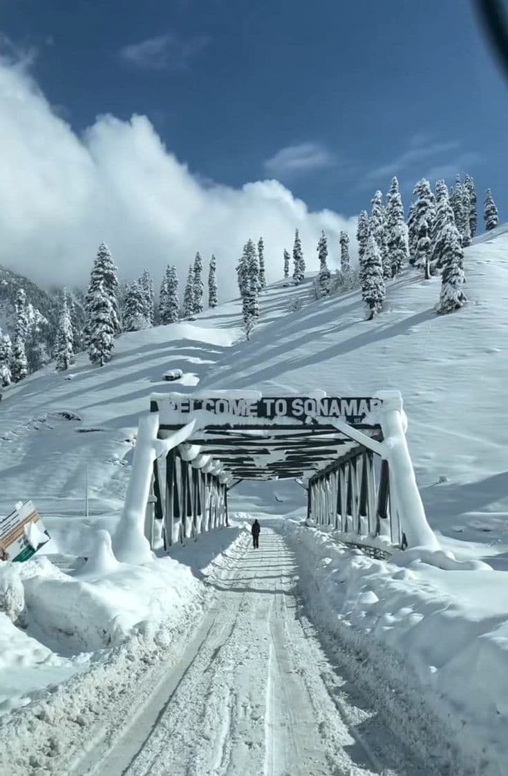 KASHMIR TOUR PACKAGE 4 NIGHTS 5 DAYS - Image 4