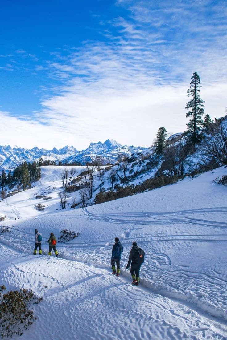 Trip to Manali and Kasol  4 NIGHTS 5 DAYS - Image 2