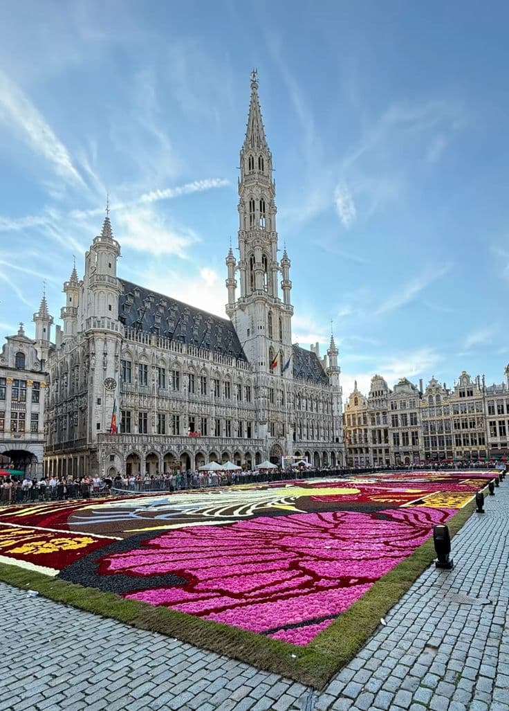 Brussels, Amsterdam & Germany Holiday Package 8 days 7 nights - Image 3