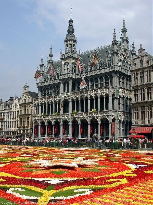 Brussels, Amsterdam & Germany Holiday Package 8 days 7 nights - Image 4