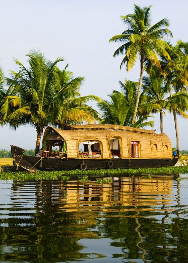 Exotic Kerala Honeymoon Package 5 days 4 nights - Image 4