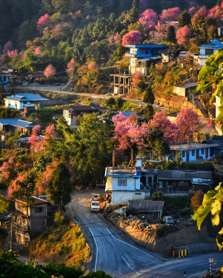 Lumbini, Ilam, Chitwan & More 11 nights 12 days - Image 3