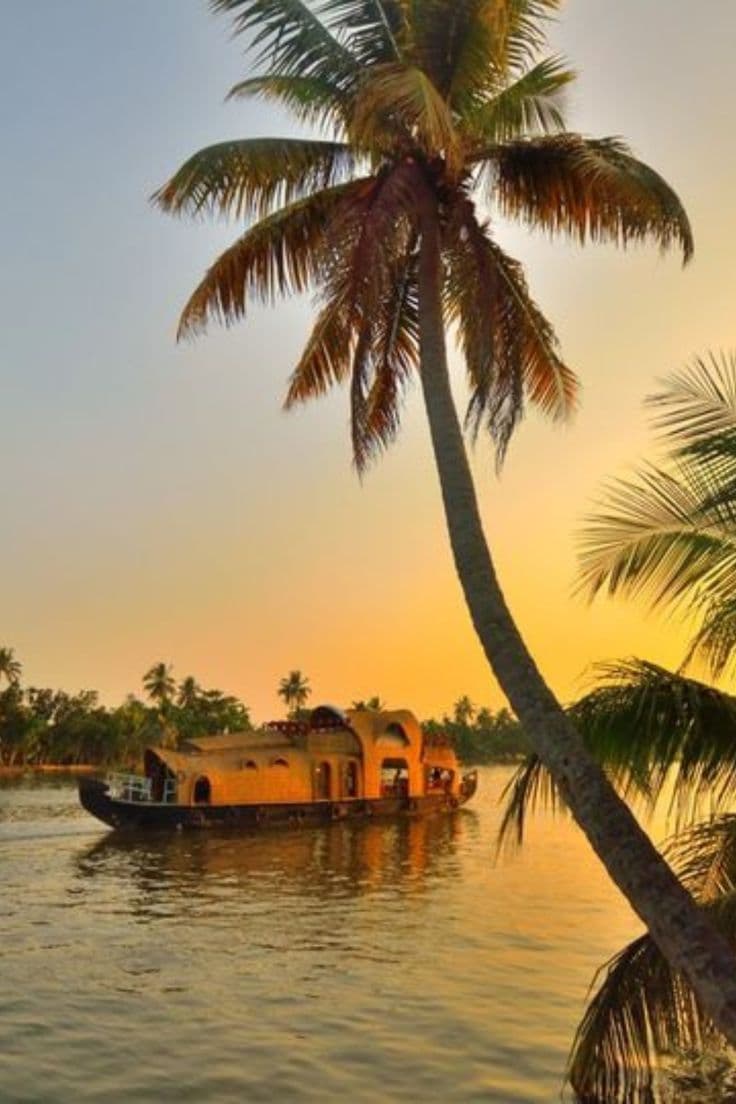 Kerala Tour Package | Explore Beaches, Backwaters & Hill Stations 11 nights 12 days kerala - Image 6