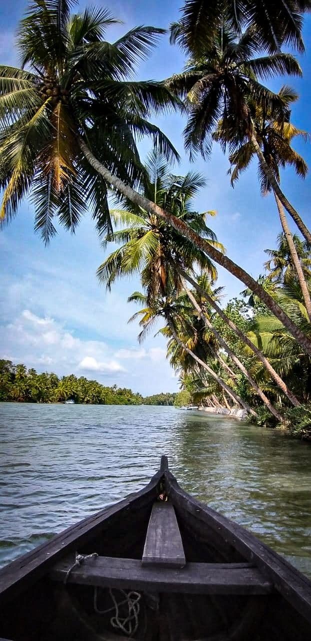 Kerala Tour Package | Explore Hills, Backwaters & Beaches 10 NIGHTS 11 DAYS - Image 4