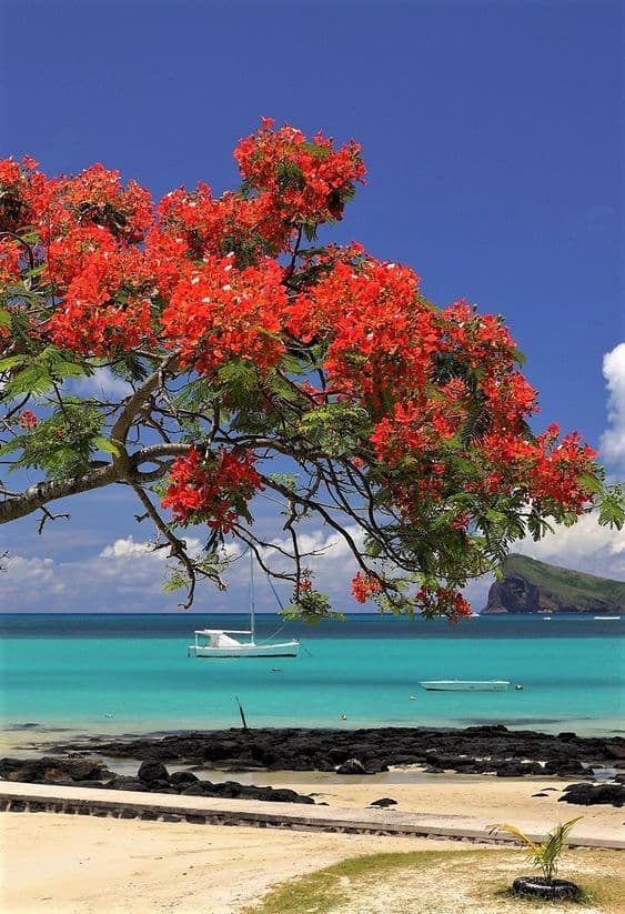 Memorable Mauritius 5 NIGHTS 6 DAYS - Image 3