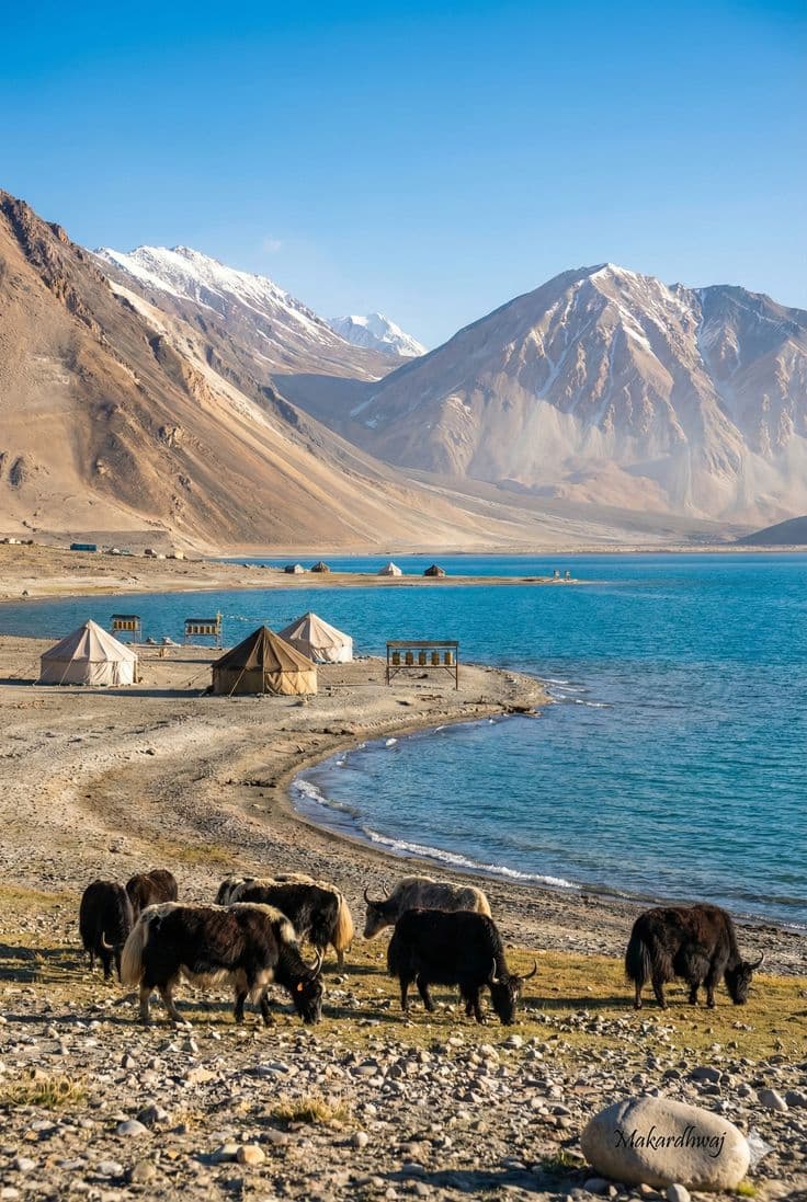 Explore the Majestic Beauty of Ladakh 4 NIGHTS 5 DAYS - Image 4