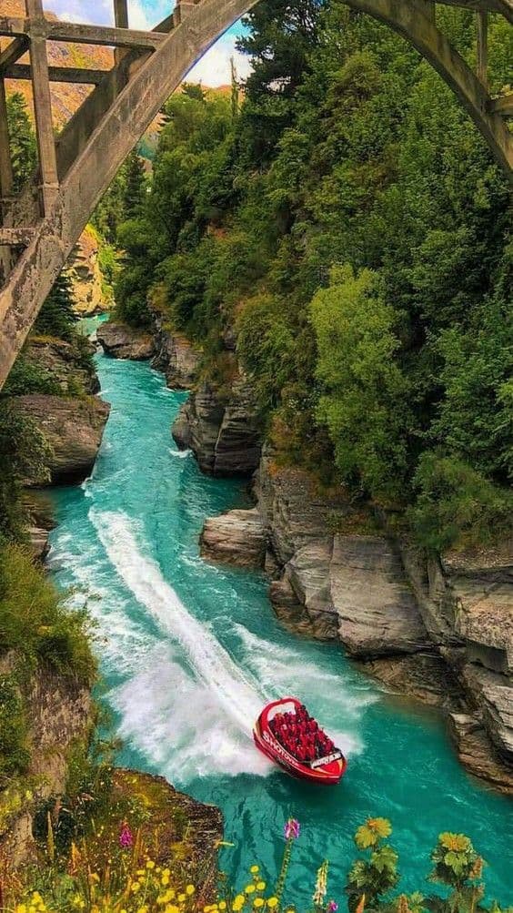 Journey Through the Land of the Long White Cloud - Image 3