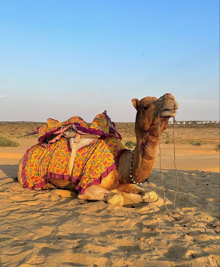 Adorable Gujarat 5 days 4 nights - Image 3