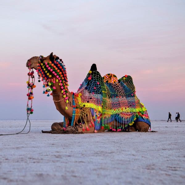 Ran of Kutch Tour with Bhuj 3 days 2 nights - Image 3
