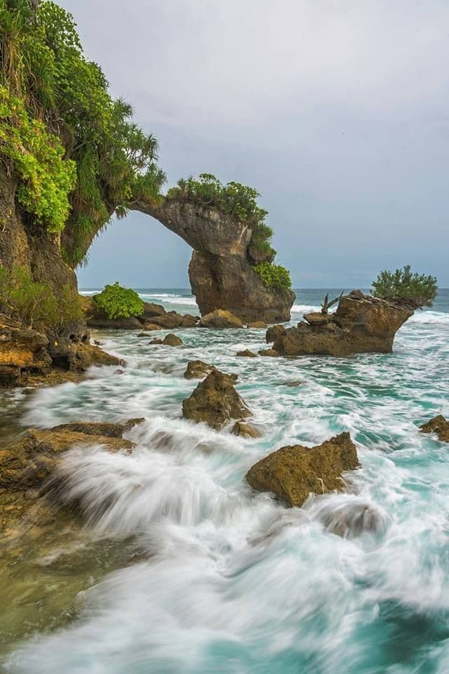 Adorable Andaman 4 days 3 nights - Image 6