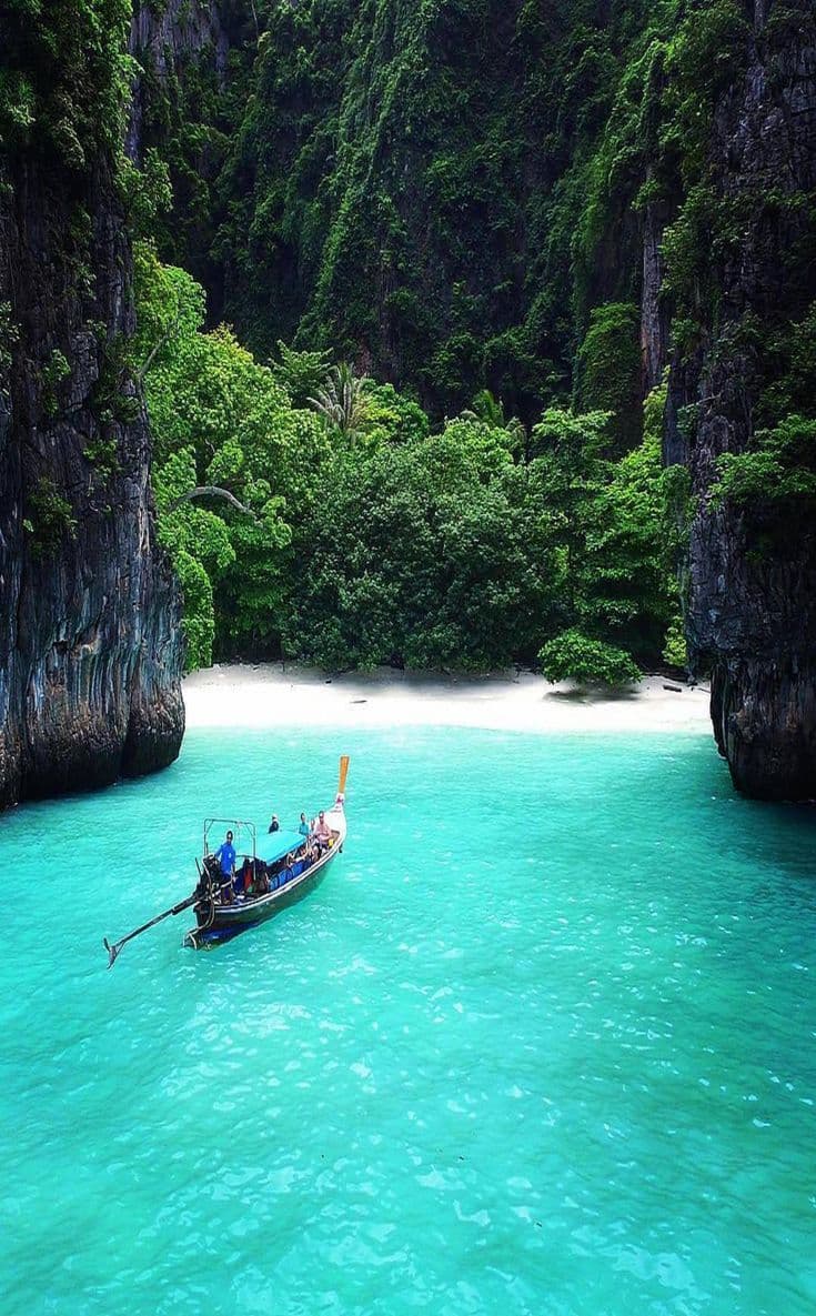 Memorable Vacay At The Andamans 6 night 7 days - Image 3