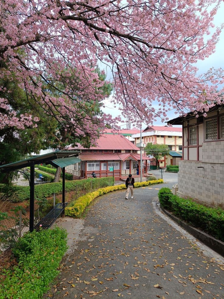 Amazing Shillong & Meghalaya 5 nights 6 days - Image 3