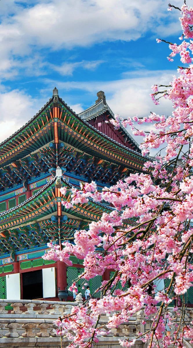 Korea Culture Coast and Cities Tour 6 days 5 nights - Image 4