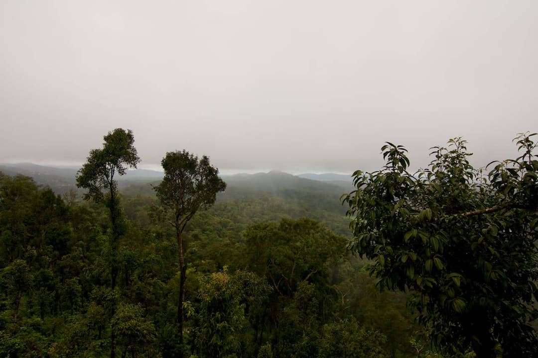 Enchanting Coorg Mysore Ooty 6 days 5 nights