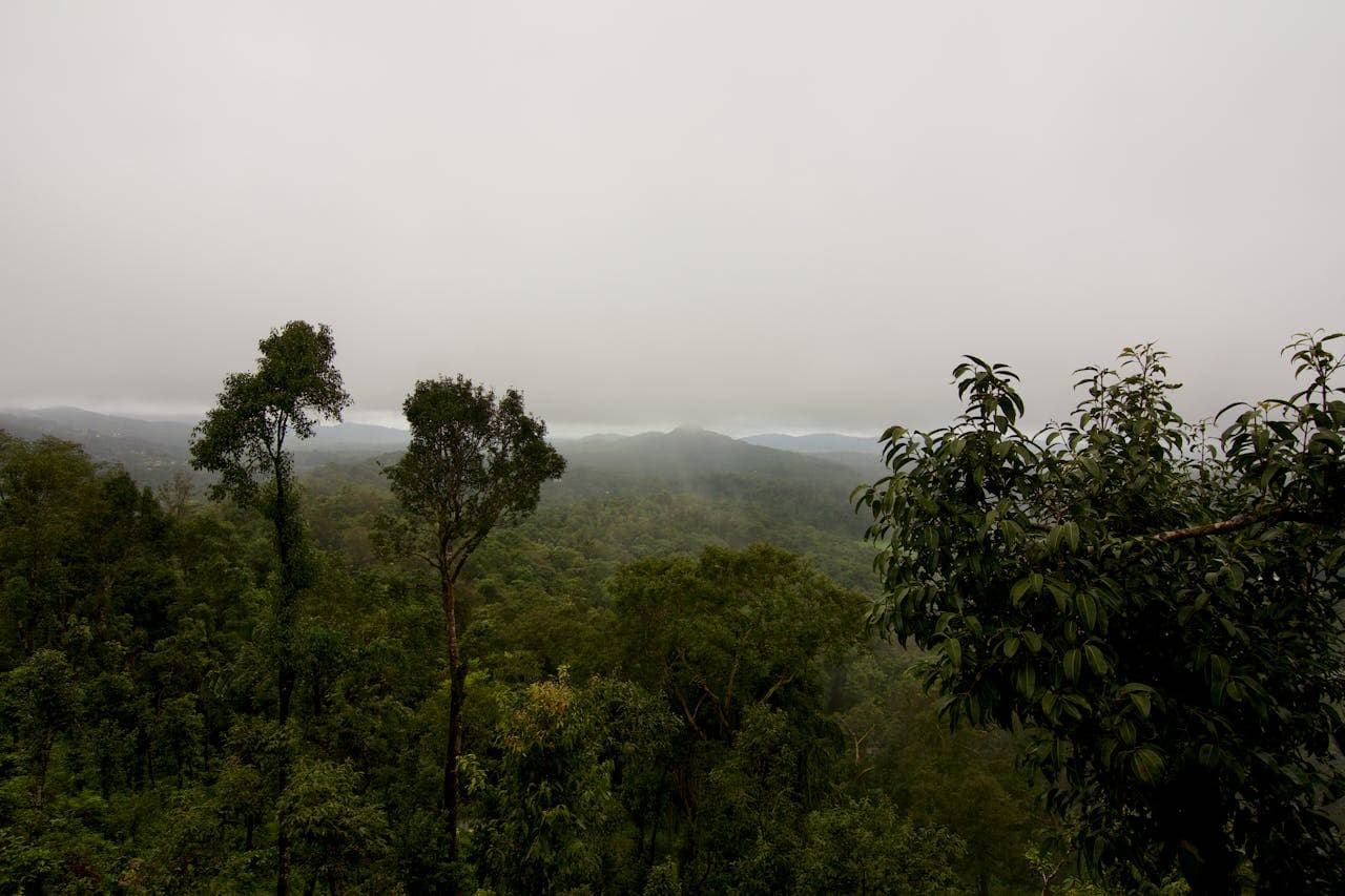 Enchanting Coorg Mysore Ooty 6 days 5 nights - Image 1