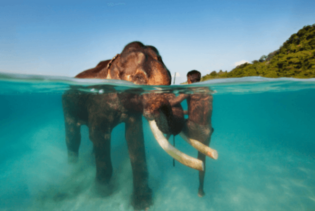 Enjoy Honeymoon in Andaman 6 days 5 nights - Image 1
