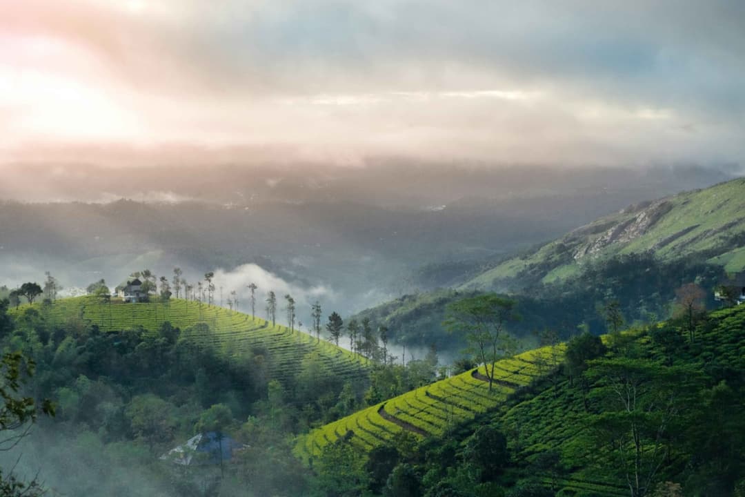 Alluring Kerala Honeymoon Package 3 NIGHTS 4 DAYS