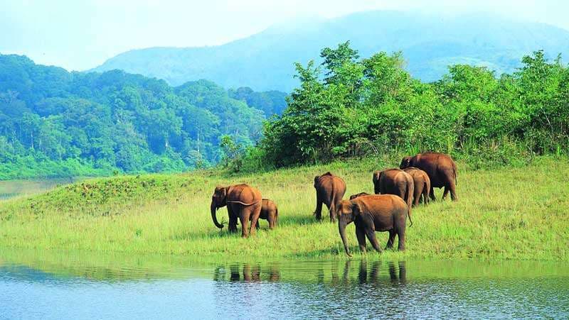 Kerala Tour Package | Backwaters, Beaches & Hills 9 Nights 10 Days