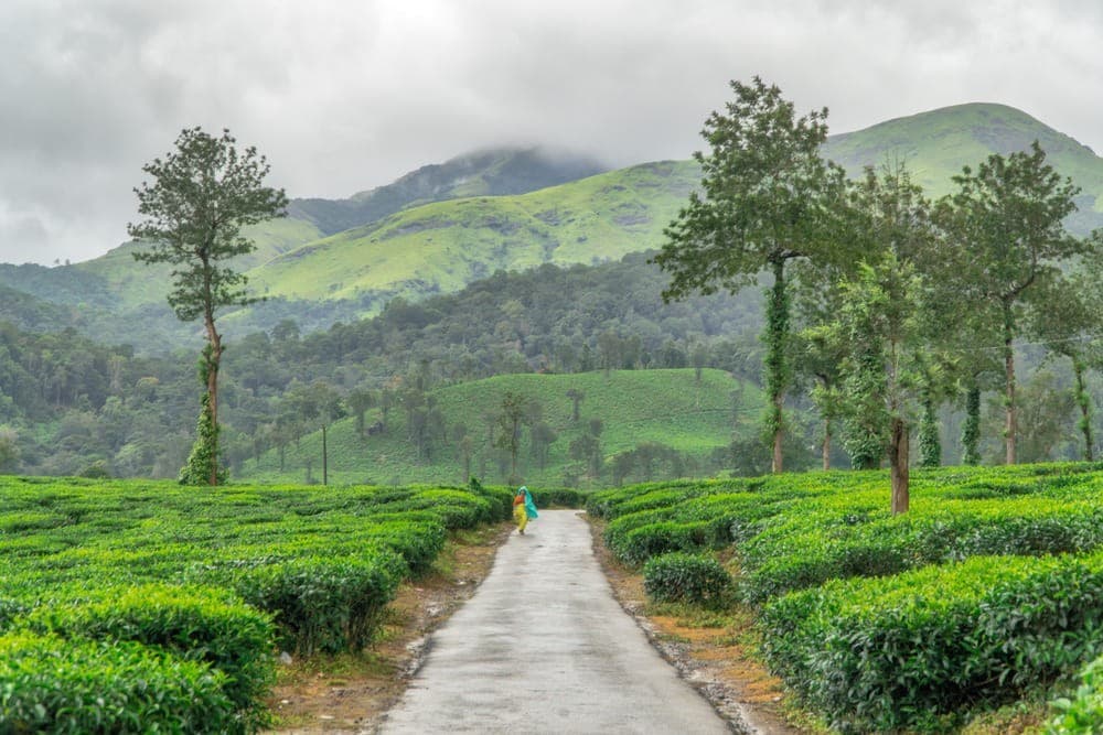 Kerala Tour Package 9 Nights 10 Days