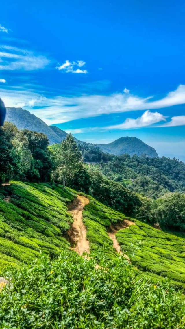 Ultimate Kerala Vacay 8 Days 7 Nights