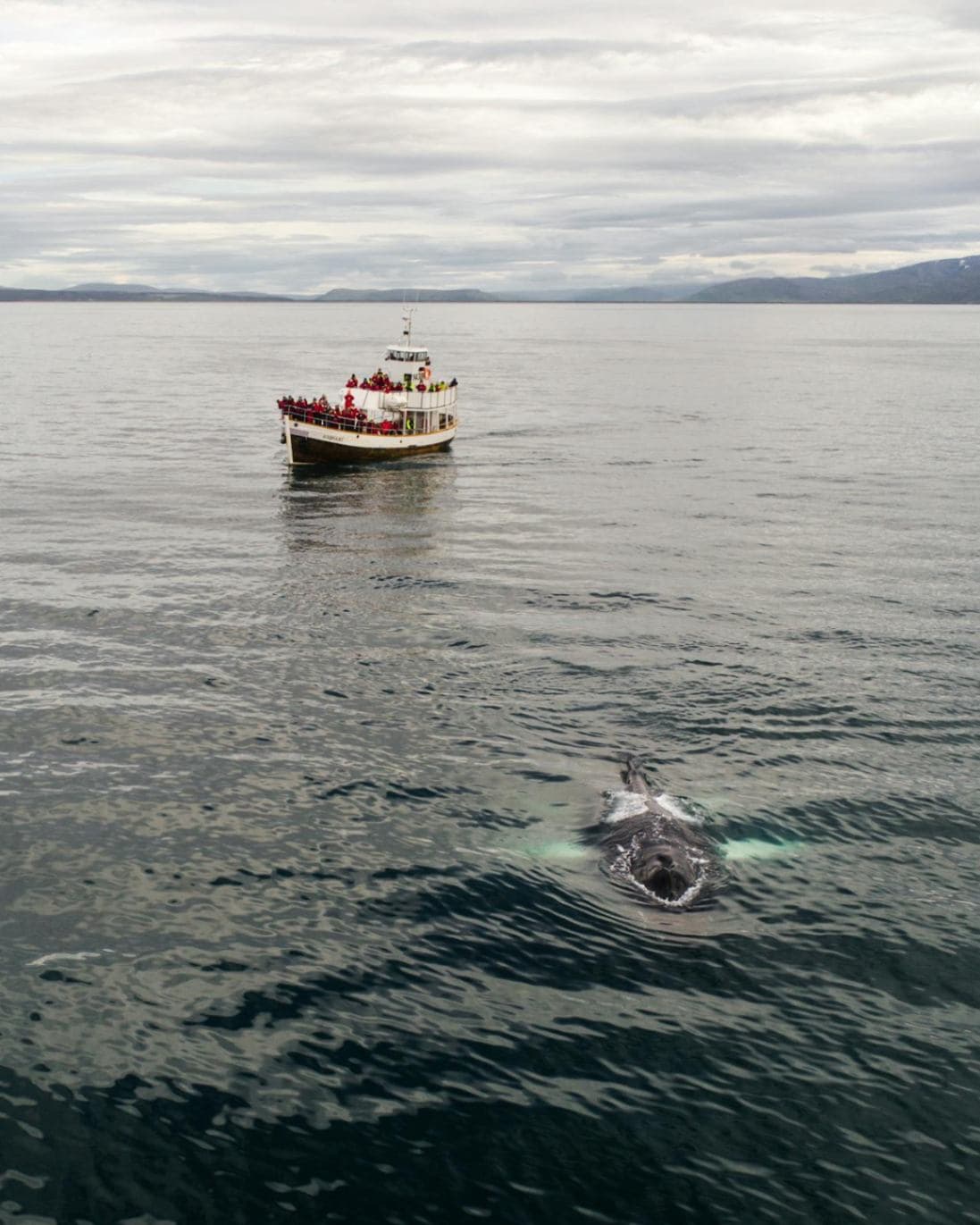 Amazing Tour of Bhutan 7 days 6 nights - Image 1