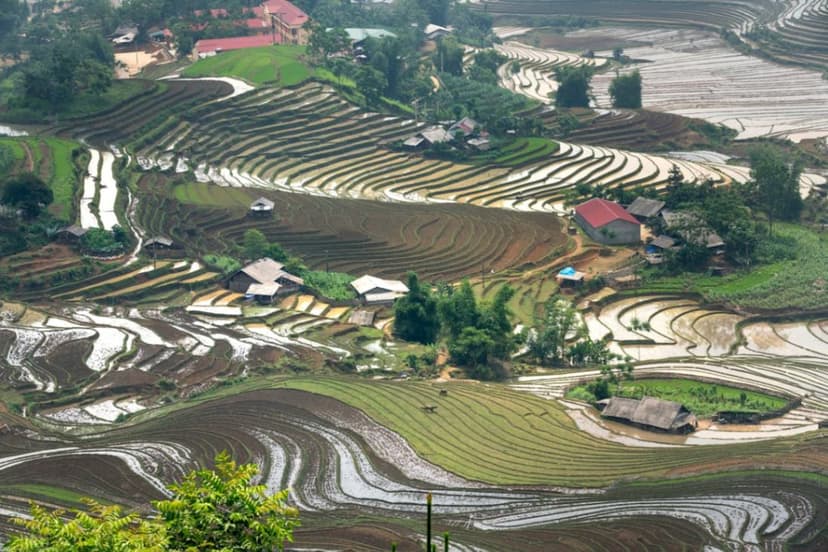 Vietnam Holiday Package 8 Days 7 Nights