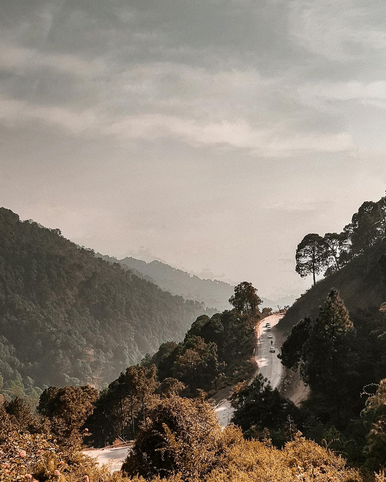 Kasauli Tour 2 NIGHTS 3 DAYS - Image 1