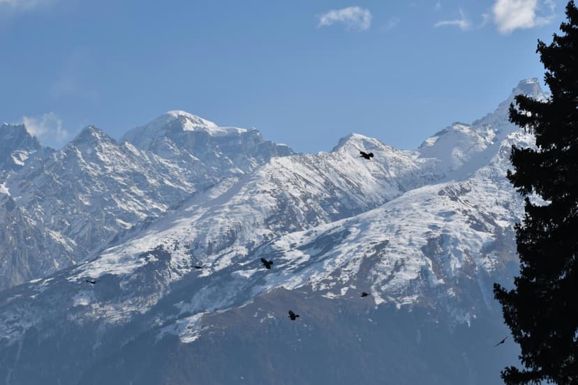 MANALI TOUR PACKAGE 3 NIGHTS 4 DAYS